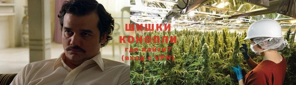 амф Гусев