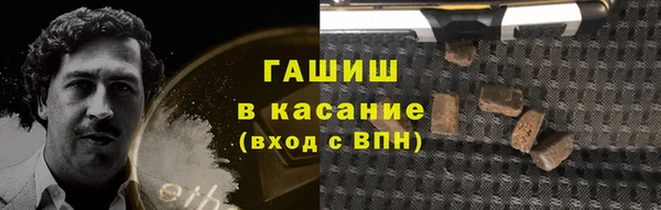 амф Гусев