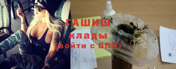амф Гусев