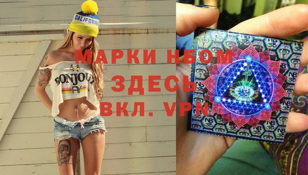 амф Гусев