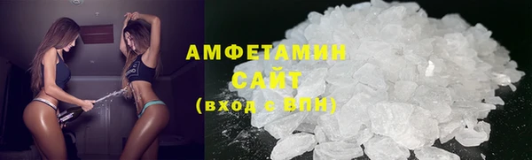 амф Гусев