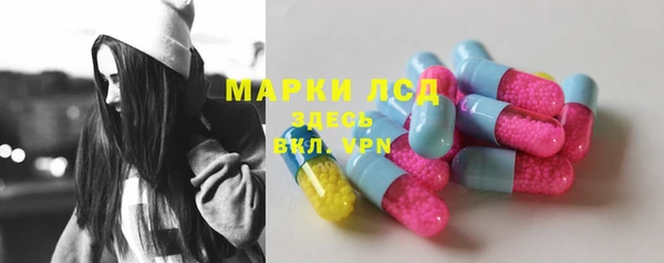 амф Гусев