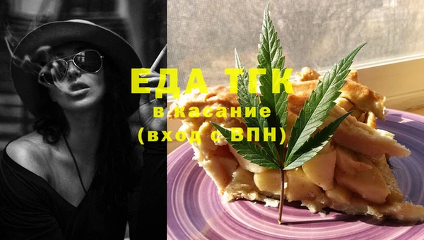 амф Гусев