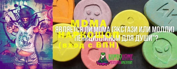 амф Гусев