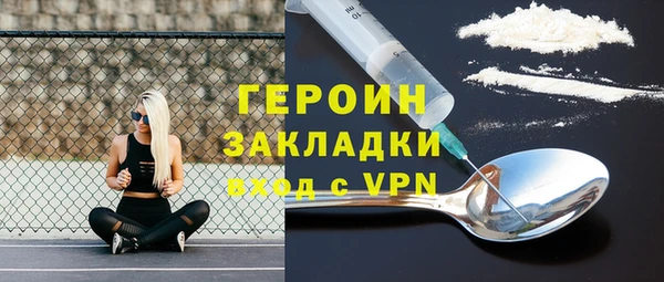 амф Гусев
