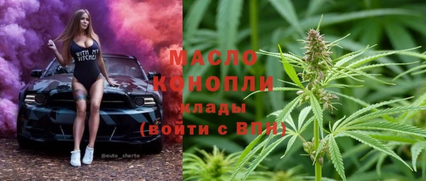 амф Гусев