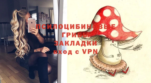 амф Гусев