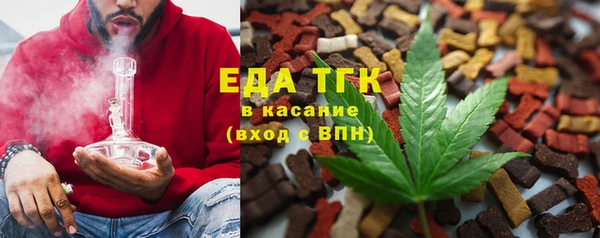 амф Гусев
